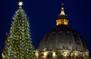 Night view of the Christmas tree on St Peter's square during the lighting ceremony at the Vatican, 16 December 2011. ANSA/CLAUDIO PERI
